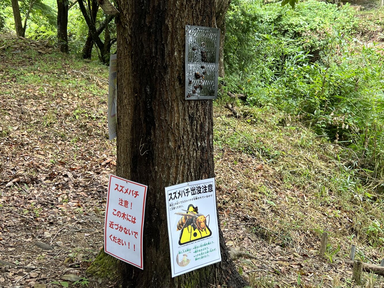 画像13336