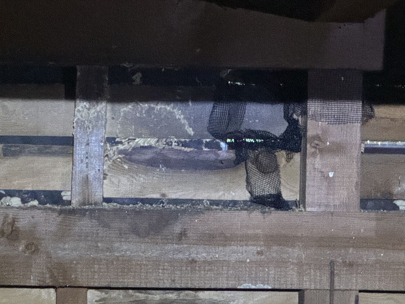 画像16351