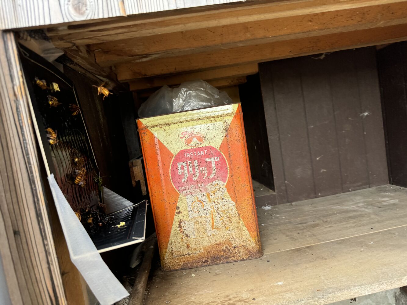 画像17465