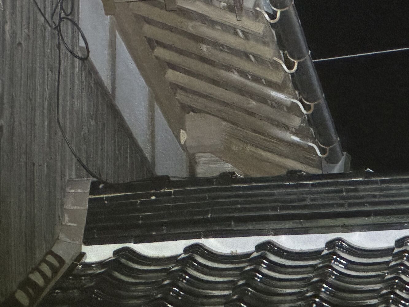 画像18029