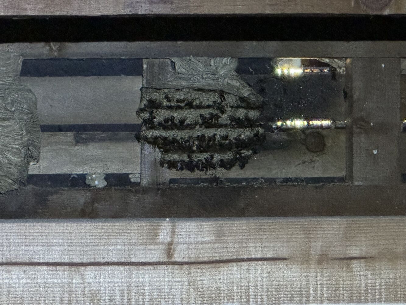 画像22296