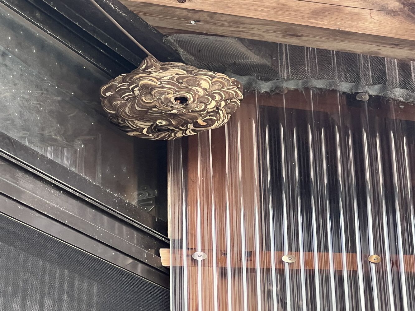 画像23832