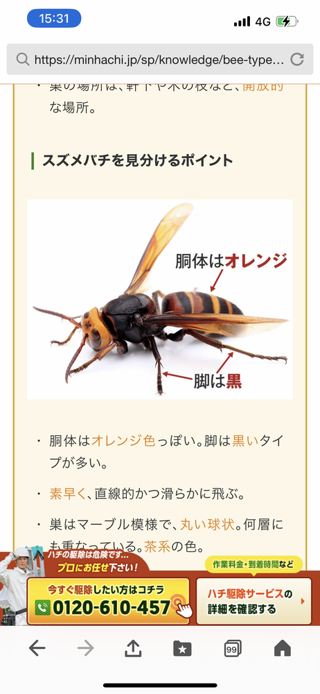 画像25289