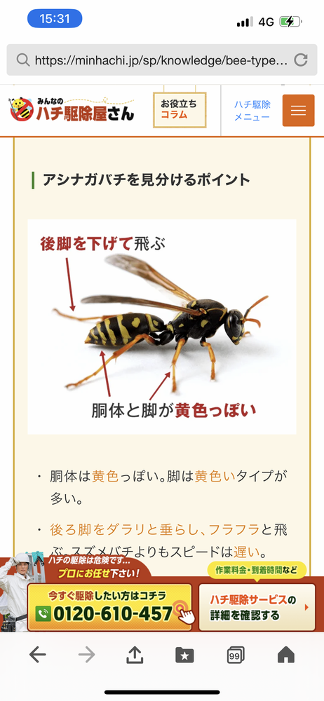 画像25290