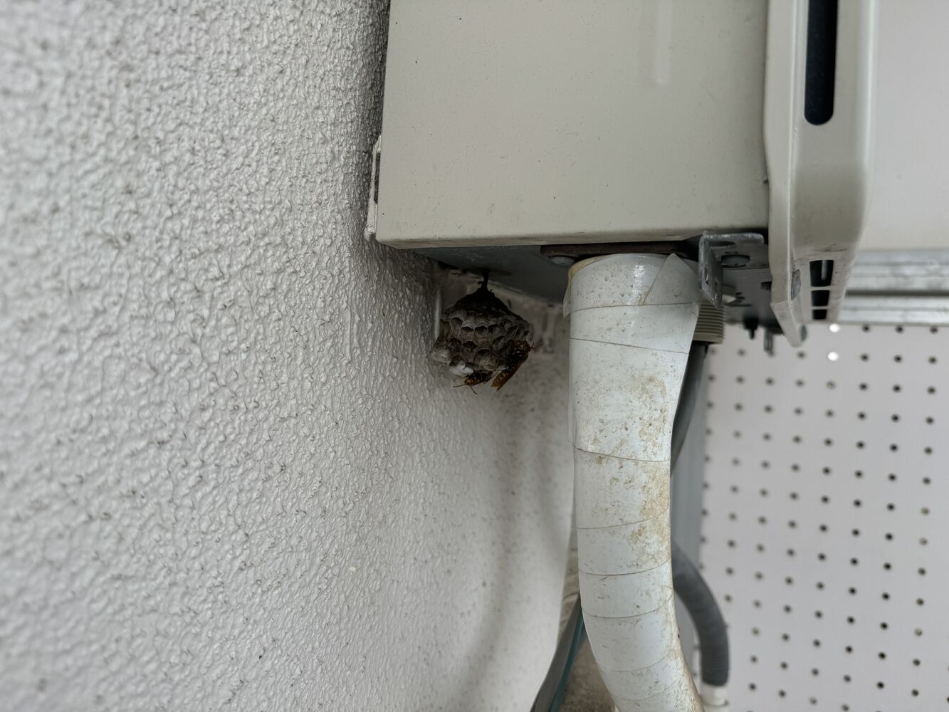 画像26383