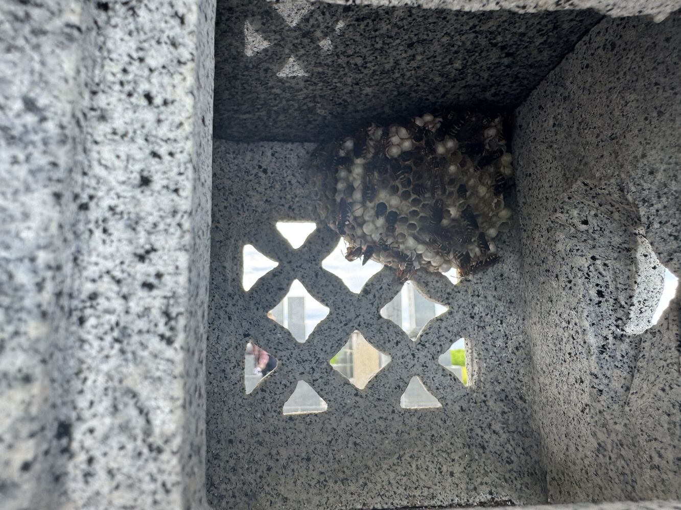 画像28704