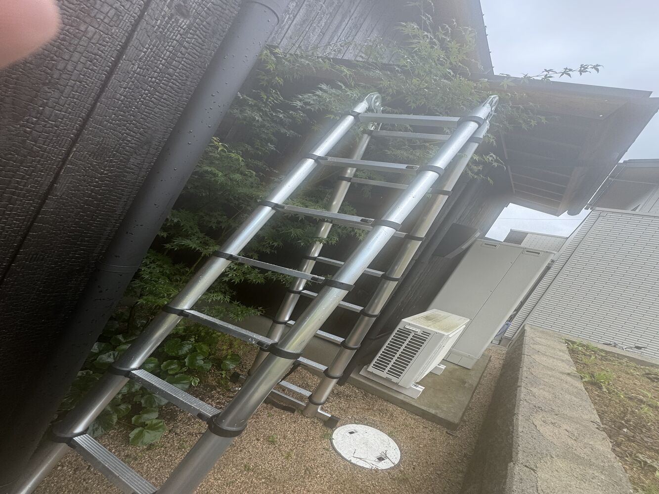 画像28708