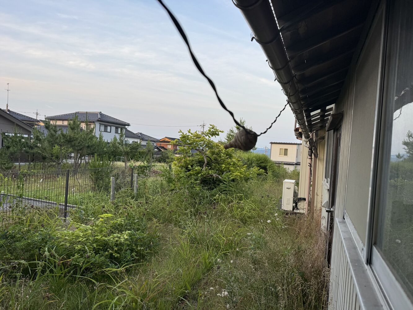 画像30614
