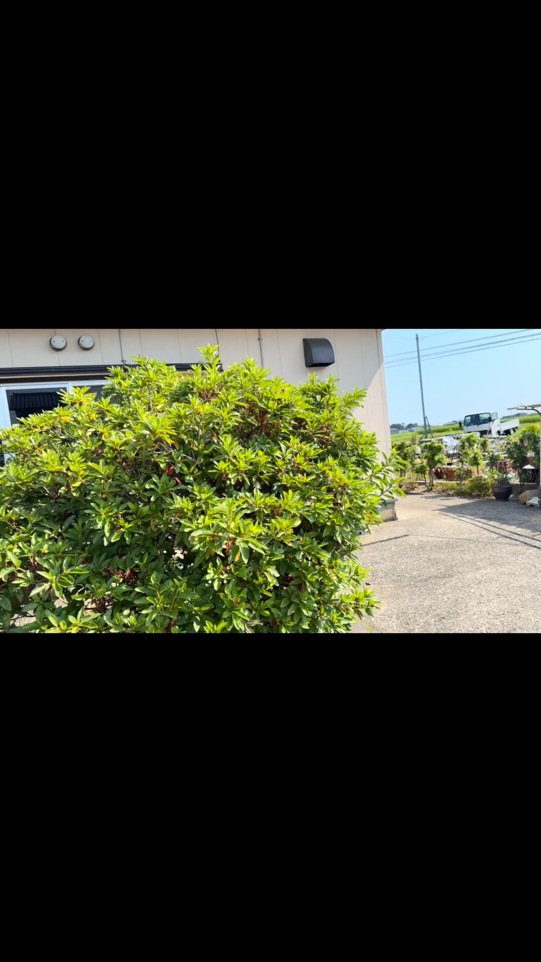 木曜日