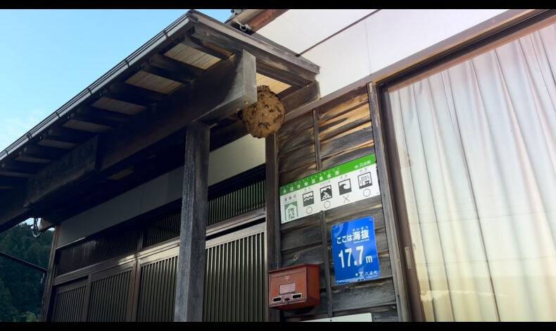 動画サムネイル