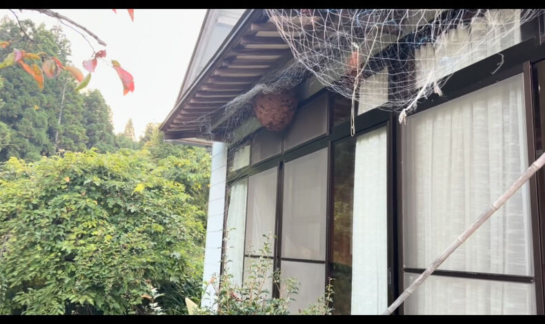 動画サムネイル