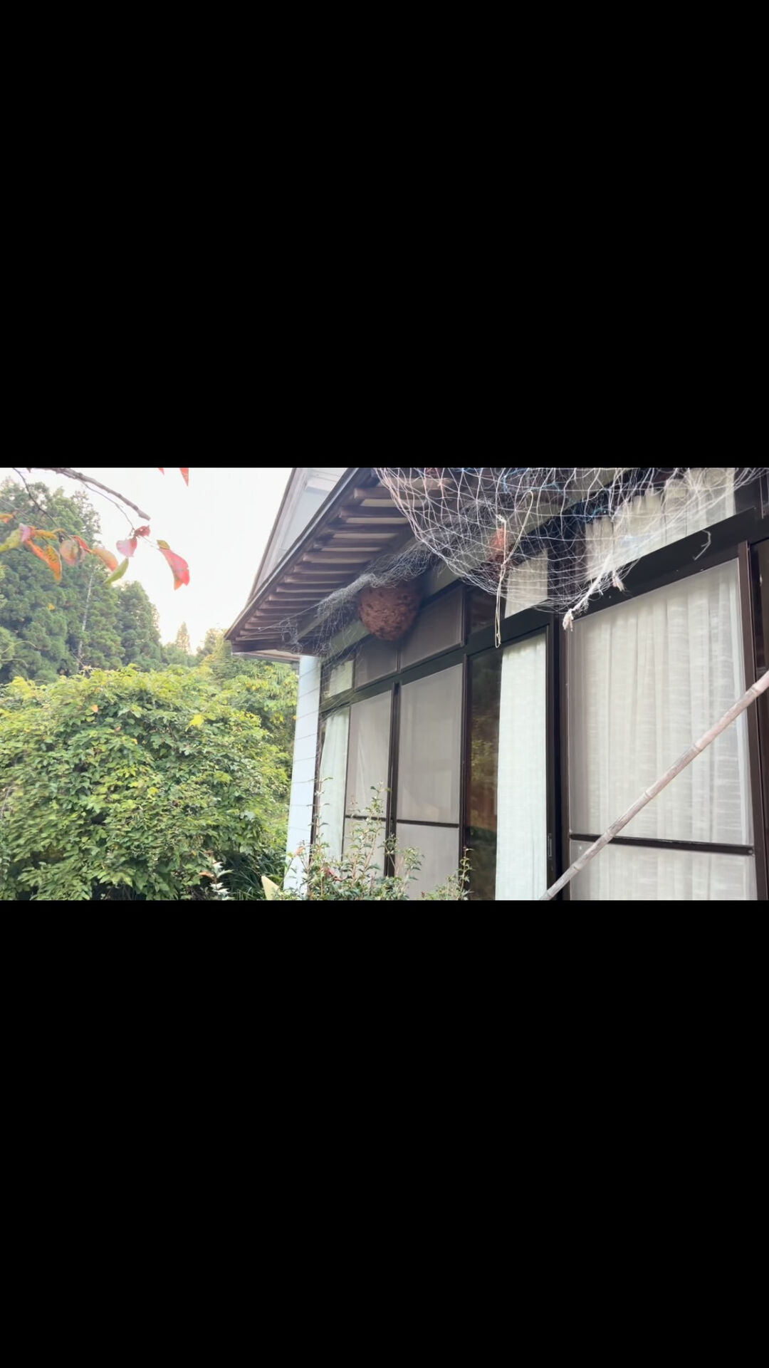 土曜日の朝