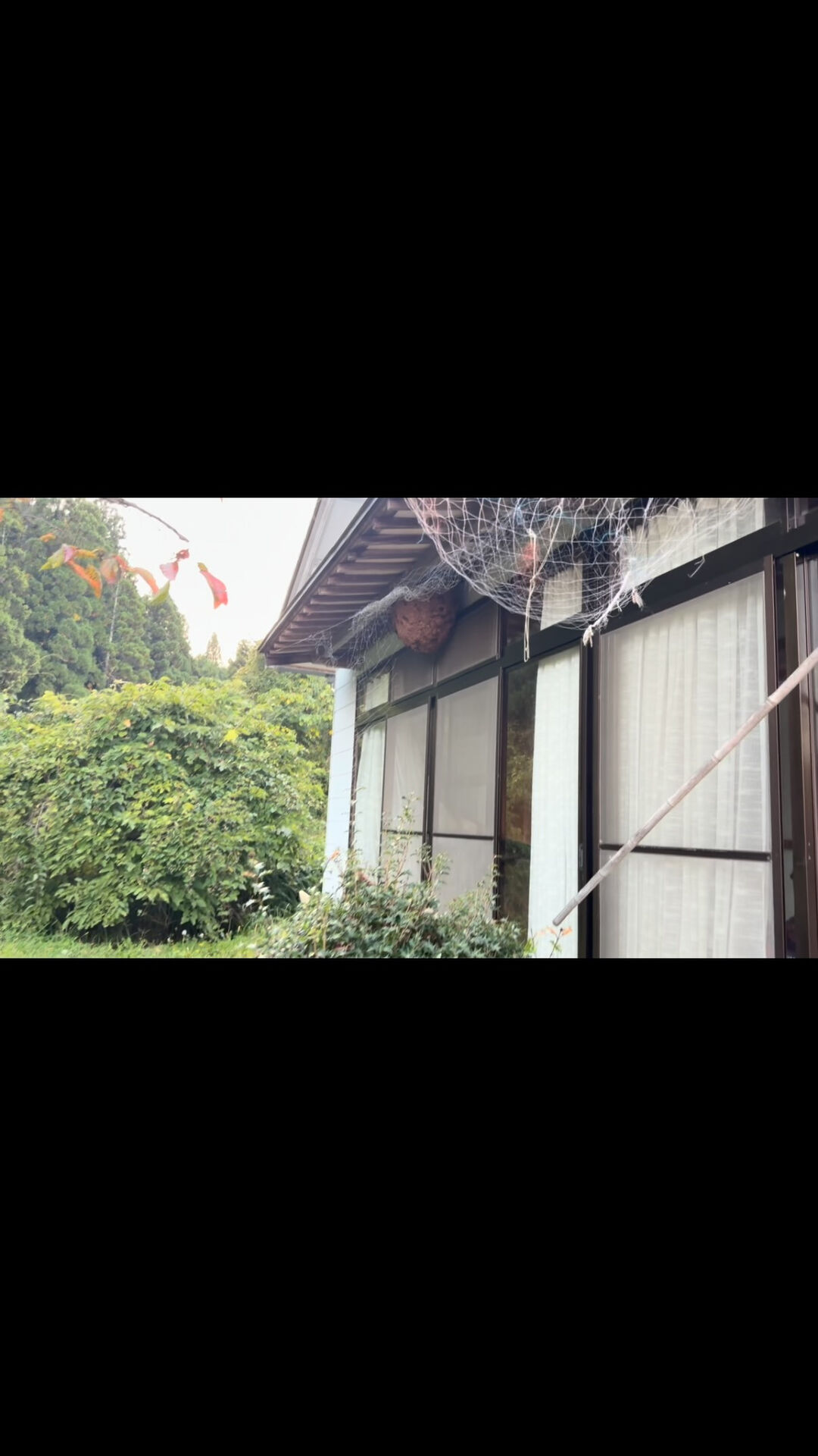 火曜日
