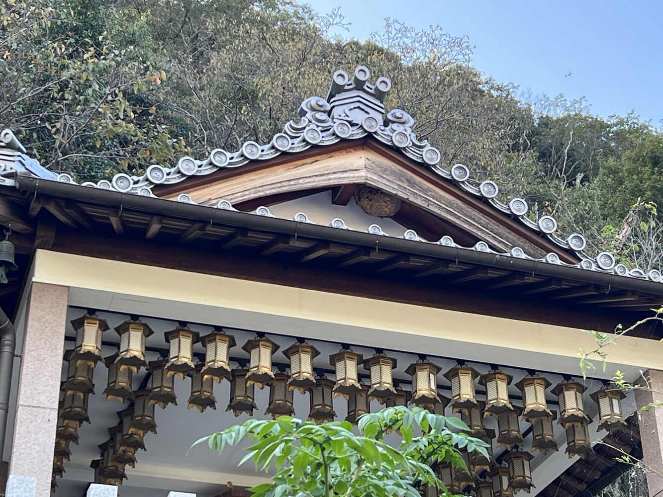 画像5595